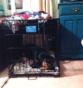 Betsy's Current Crate
